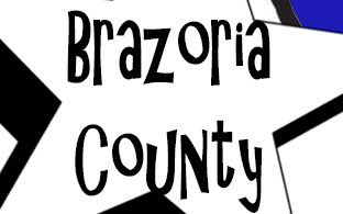 Brazoria County Elections page