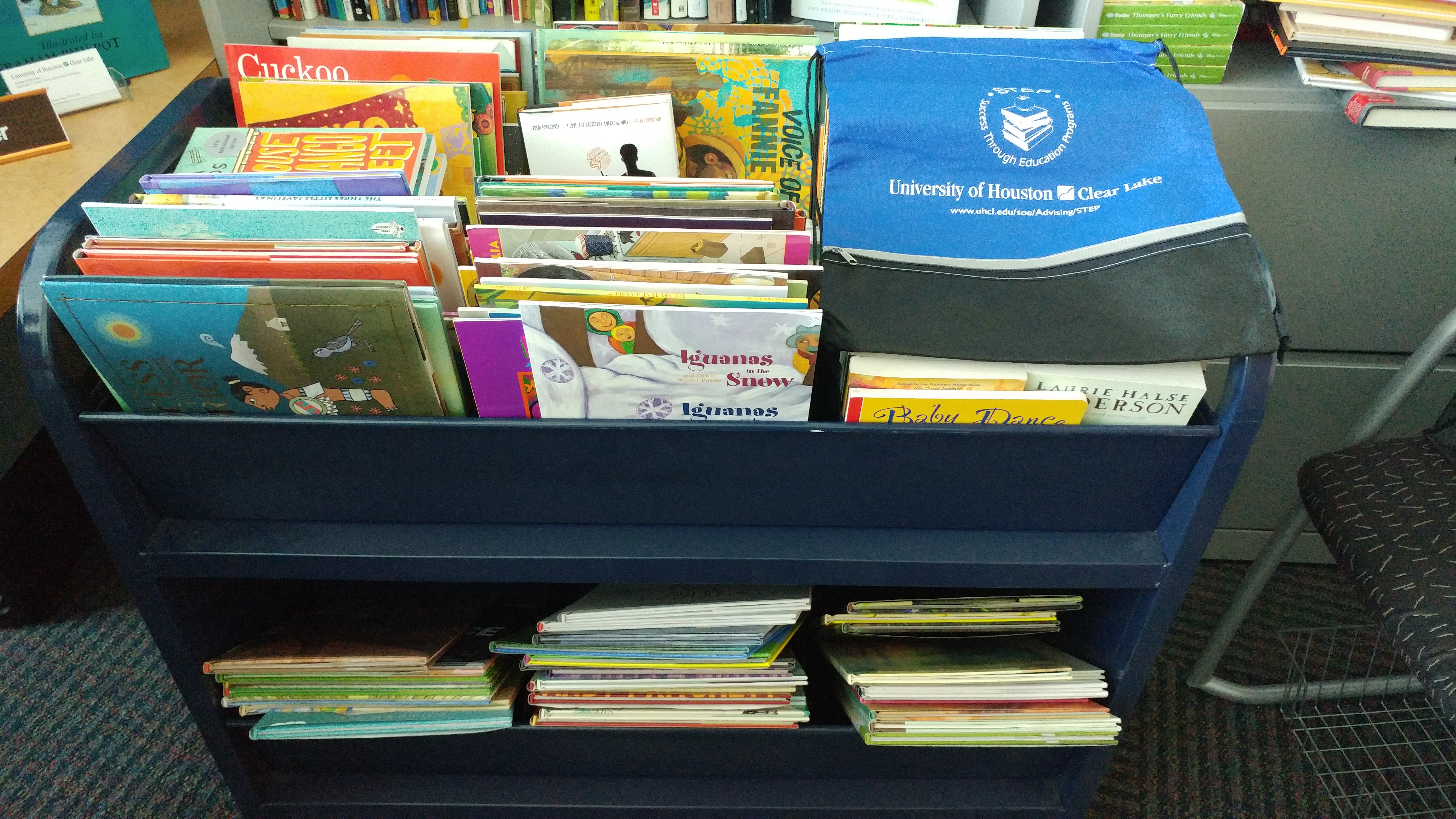 Children's books ready to be set up in the three Habitat homes. Photo by The Signal reporter Leif Hayman.