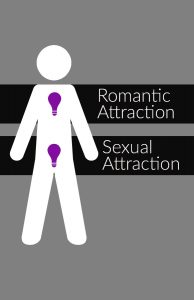 A human figure featuring two light bulbs, one labeled as romantic traction and the other labeled sexual attraction.